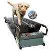 PetZen DogTread Dog Treadmill Review