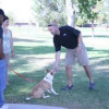 Puppy Training Schedule Week By Week