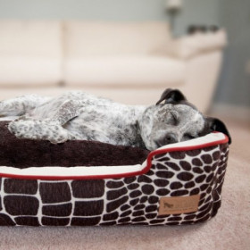 P.L.A.Y. Pet Lifestyle and Pet Lounge Bed Review