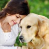 Senior Dog Care – Caring For Your Geriatric Dog