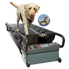 PetZen DogTread Dog Treadmil